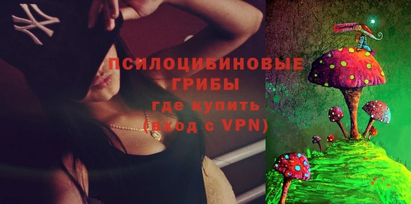 винт Алексин