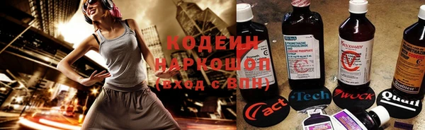 хмурый Алзамай