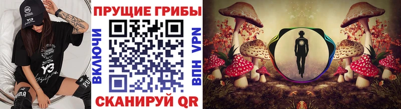 Псилоцибиновые грибы Psilocybe  Павловская 