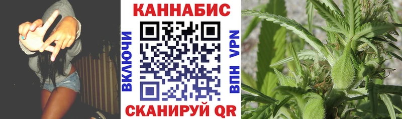 KRAKEN ССЫЛКА  Павловская  Шишки марихуана план 
